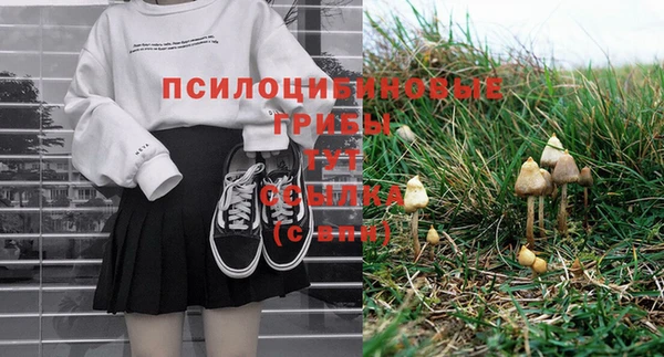 спайс Вязьма