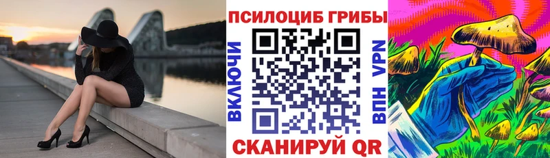 Галлюциногенные грибы мицелий  даркнет сайт  Зеленодольск 