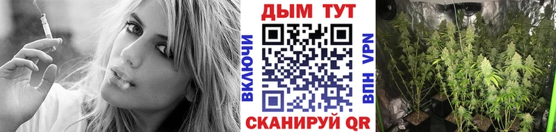 Шишки марихуана OG Kush  где купить наркоту  Зеленодольск 